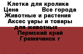 Клетка для кролика › Цена ­ 5 000 - Все города Животные и растения » Аксесcуары и товары для животных   . Пермский край,Гремячинск г.